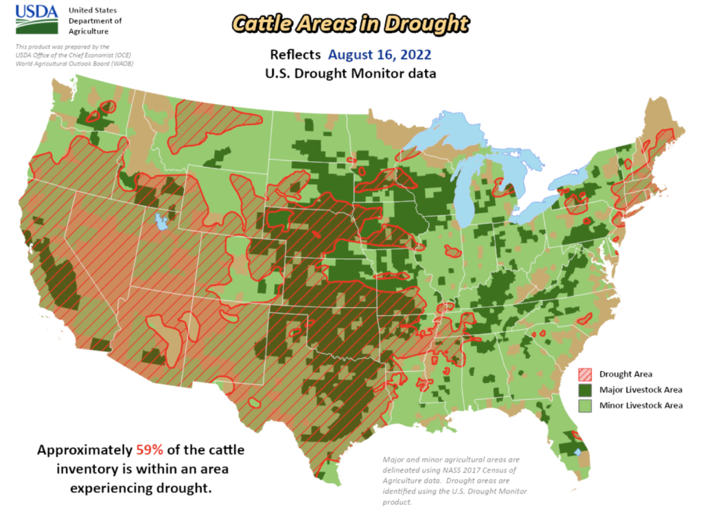 旱魃にさらされる米国農業。出典:USDA- Office of the Chief Economist (August 18, 2022)。