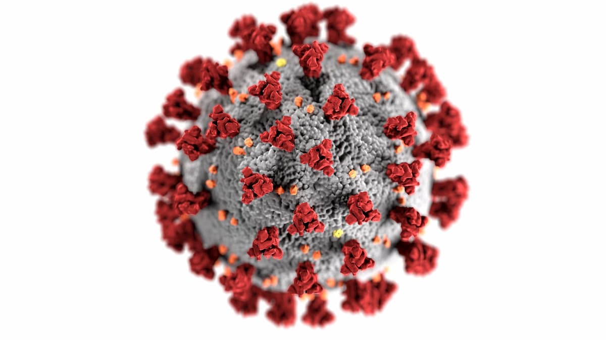 最新研究: コロナウイルス抗体、感染後少なくとも3ヵ月持続