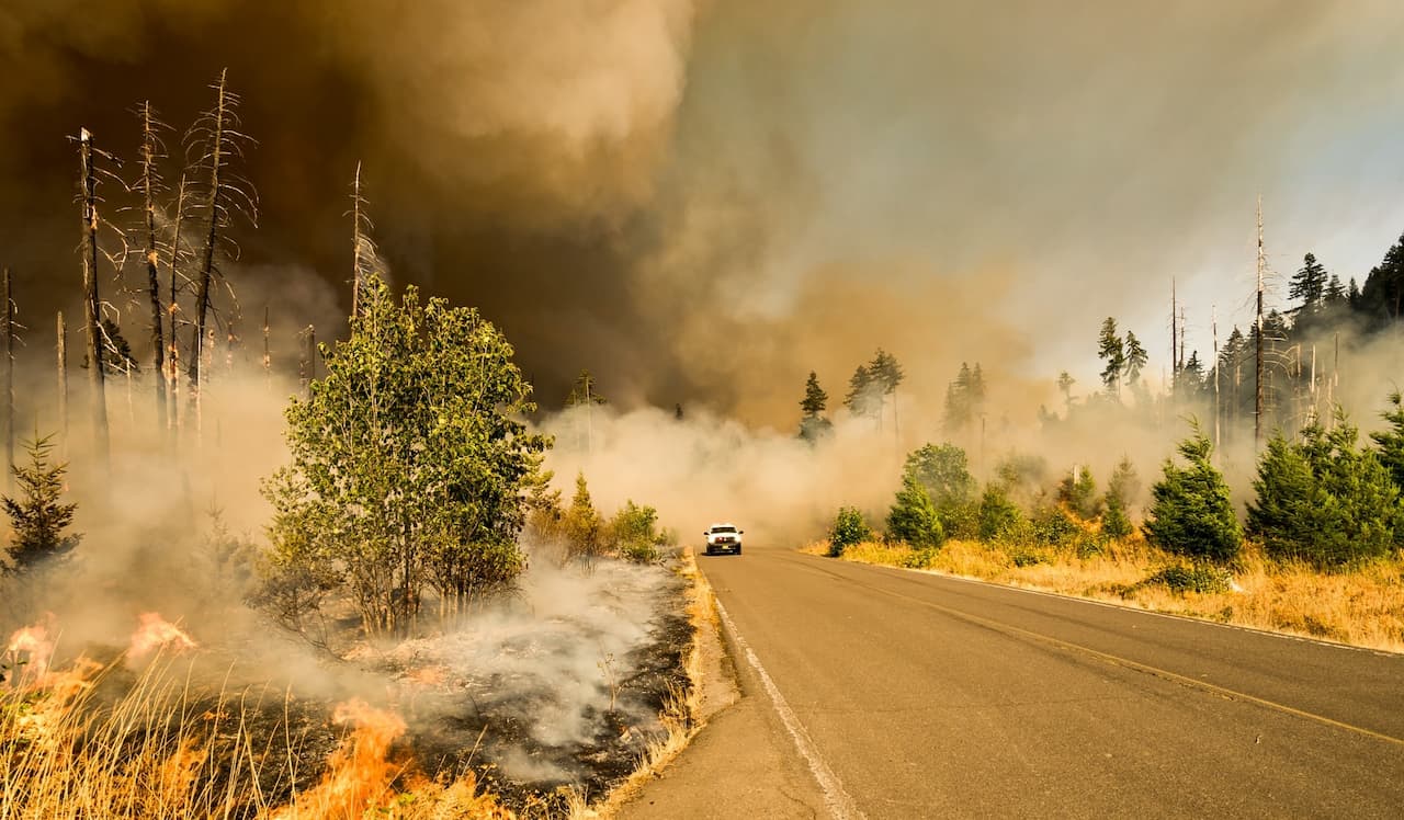 国連、気候変動で2100年までに山火事が50%増加する可能性と警告