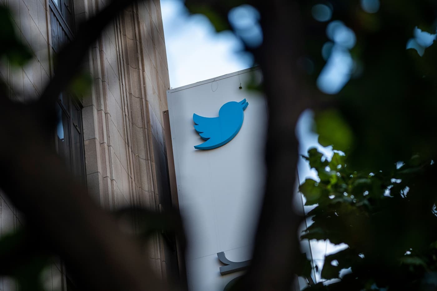 マスク以降のTwitter、反ユダヤ主義が2倍以上に増加