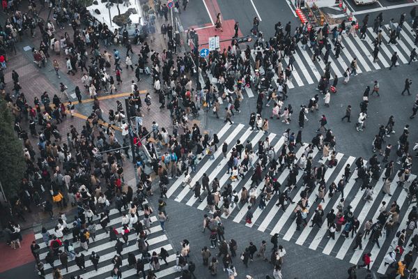 ネットワーク科学 人間や物の関係性をデータから解明する学際領域