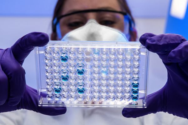 拡大する創薬とAIの融合