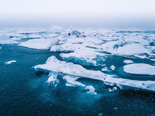 北極の気温は地球温暖化の4倍の速さで上昇している