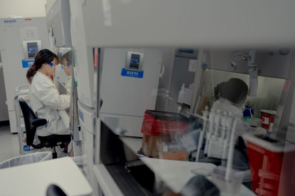 ファイザーの今後のmRNA戦略:コロナ特需から移行できるか?