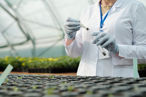 英国が科学大国になるにはまだまだ時間がかかる